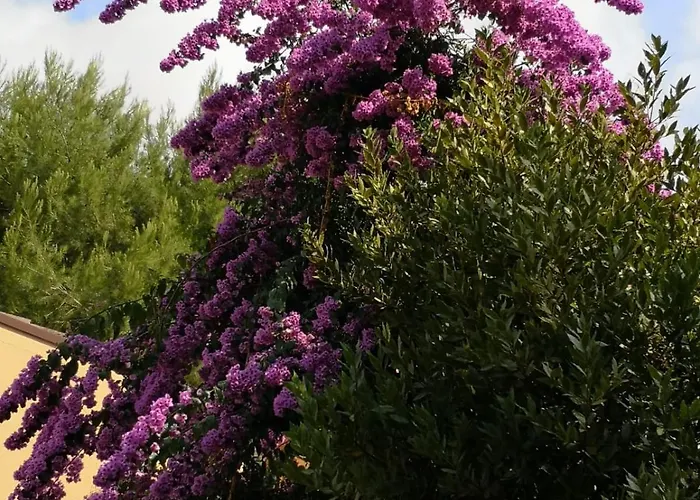 Holiday home La Buganvilla