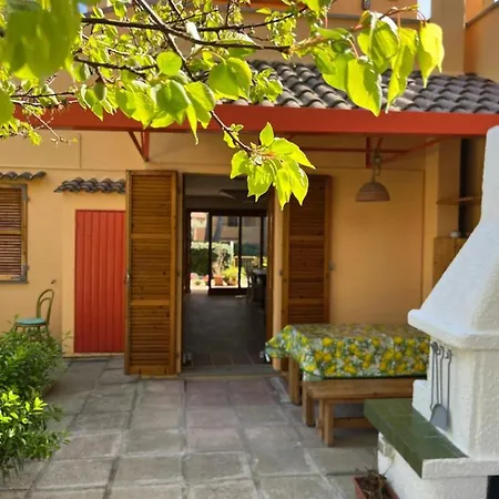 La Buganvilla *