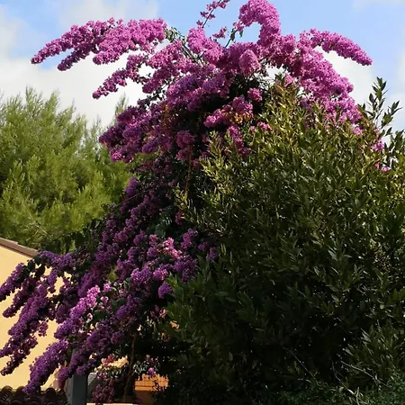 Σπίτι διακοπών La Buganvilla